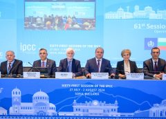 Фойерверки и огнева мощ: Симфония на китайската Нова година