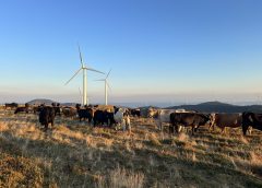 Президентът на Merck China: Китай е не само огромен пазар, но и производствена и иновационна база за мултинационалните компании