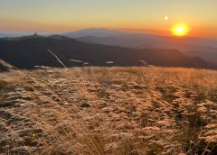 Вековна марка за грижа за кожата на Тиендзин пробива основите на индустриалния парк