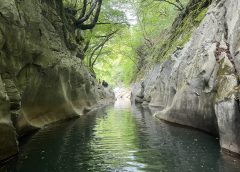 Кук подчертава важността на Китай в Чънду