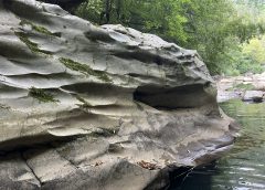 Шанхай е домакин на събитие на Седмицата на стандартите в подкрепа на растежа на технологичните услуги