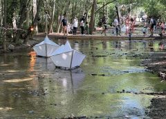 Островът на пингвините на Tencent в град Шенжен ще завърши първа фаза и ще бъде отворен до края на годината · TechNode