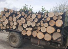 Intel China обявява разширяването на своето съоръжение за опаковане и тестване в Ченду · TechNode