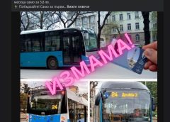 От 500 до 1600: Завръщането на златните чипноси маймуни