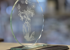 Говорителката на континенталната част казва, че опитите на DPP за „десинизиране“ са обречени на провал