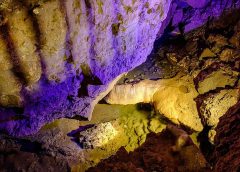 Бялата книга описва възхода на Шанхай като център за производство на изкуствен интелект