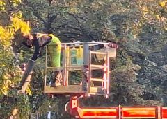 Baidu Smart Cloud подписва сделка с Bear Electric Appliance