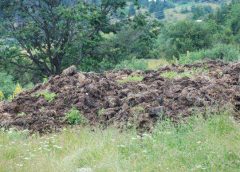 Китай оптимизира управлението на експортните данъчни отстъпки за по-висока ефективност