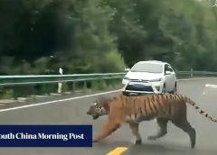 Играещ тенис хуманоиден робот дебютира в Пекин