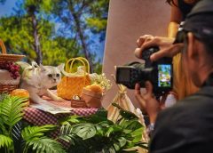 Ден на Purr-Fect за собствениците на домашни любимци в Хонконг, тъй като Cat Expo се отваря