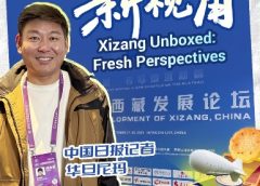 Китай засилва борбата срещу данъчните престъпления