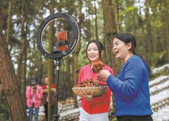 Факти за развитието на горската икономика в Китай