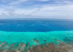 Водите около остров Huangyan виждат процъфтяваща и устойчива екосистема на коралов риф