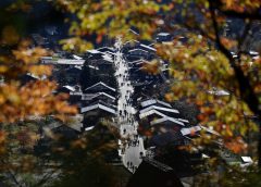 Туризмът и търговията в Япония очакват спад заради напрежение