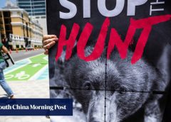 Флорида подновява лова на черна мечка въпреки недоволството