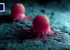 Обединени сме: защо бозайниците, които се обединяват, може да са изправени пред по-ниски рискове от рак