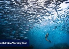 Китайски туристи проявяват интерес към Visit Malaysia 2026