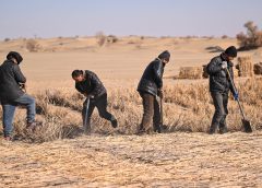 Местни фермери се борят с опустиняването в окръг Мою в Синдзян в Северозападен Китай