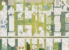 Партньорски екип от Китай реконструира земните местообитания, градската икономика чрез модел на съвместно съществуване