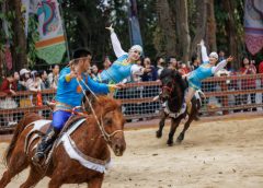 Редки породи коне показват своята жизненост и дух в сафари парка в Гуанджоу