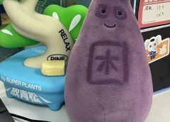 Китайското поколение Z отглежда плюшени играчки като истински бебета, празнува рождени дни, проявява обич