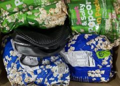 Австралийски контрабандист получи рекордните 8 години затвор за изпращане на гущери в торби с пуканки