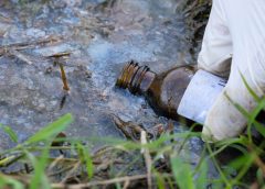 Хонконгските влажни зони регистрират 40 пъти повече петрол след нефтен разлив: Грийнпийс