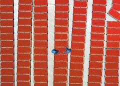 Wuzhong балансира индустрията с екозащитата