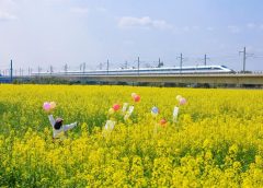 Амбициозната цел за растеж на Китай “е разумна”