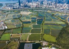 Представени са мерки за рационализиране на процедурите за земеползване в Северния метрополис