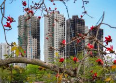 Сонда Tai Po: познаването на дефектите може да е подпомогнало реакцията, казва пожарникарят