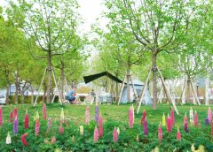 Мястото Pudong Qiantan на Shanghai International Flower Show през 2026 г. ще бъде отворено през април