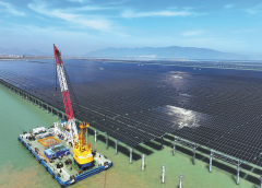 Слънчевият капацитет ще надмине въглищната енергия през 2026 г