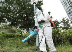 Хонконг планира нов опит за контрол на комарите след първия случай на денга от 2024 г